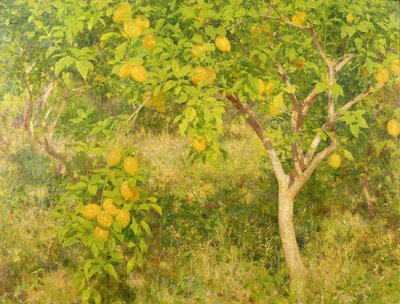 The Lemon Tree, 1893 by Henry Scott Tuke